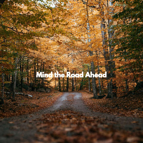 Mind the Road Ahead