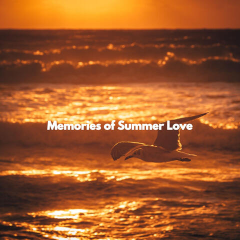 Memories of Summer Love