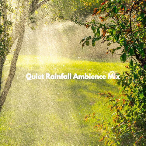 Quiet Rainfall Ambience Mix