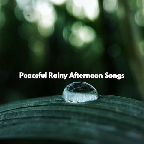 Peaceful Rainy Afternoon Songs