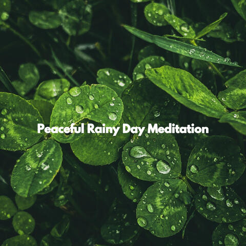 Peaceful Rainy Day Meditation