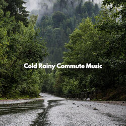 Smart Ambience for Dinner Meetups