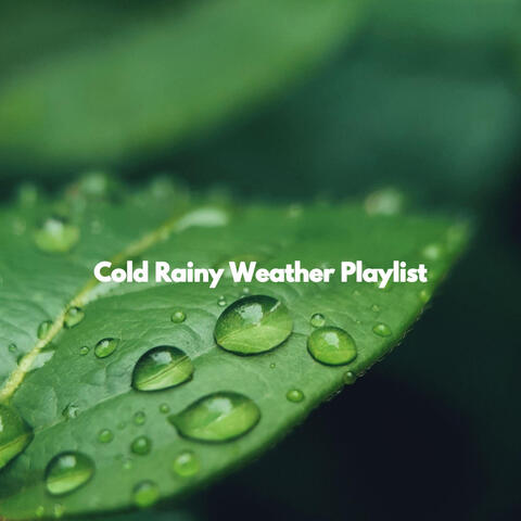 Cold Rainy Weather Playlist