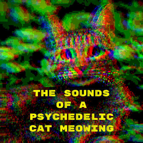 The sounds of a psychedelic cat meowing