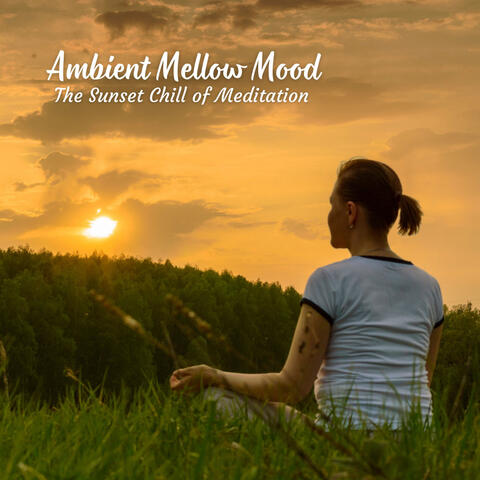 Ambient Mellow Mood: The Sunset Chill of Meditation