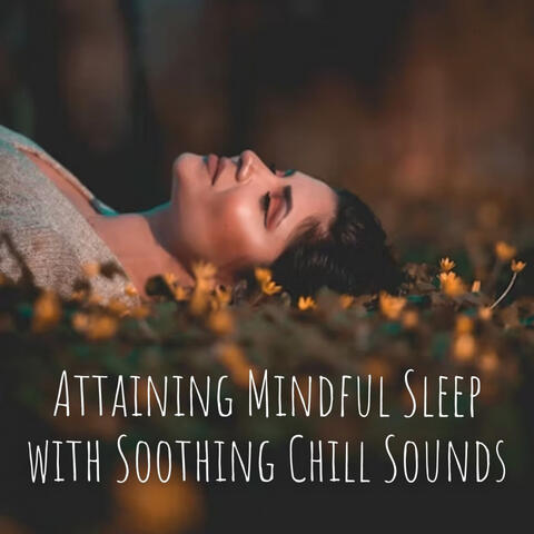Attaining Mindful Sleep with Soothing Chill Sounds