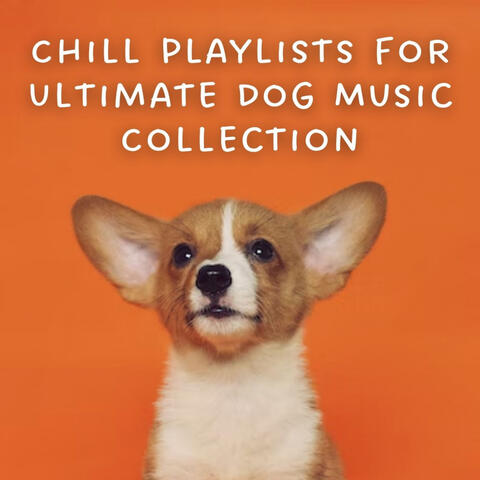Chill Playlists for Ultimate Dog Music Collection