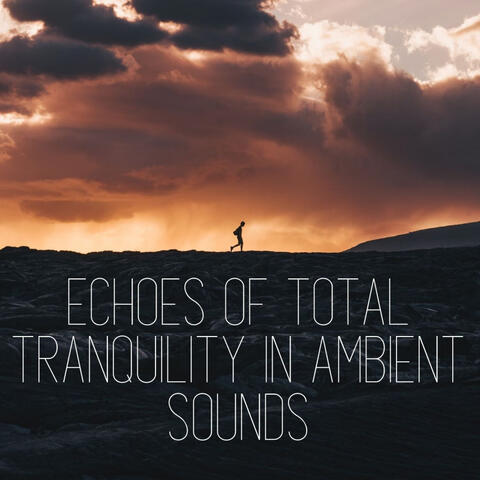 Echoes of Total Tranquility in Ambient Sounds