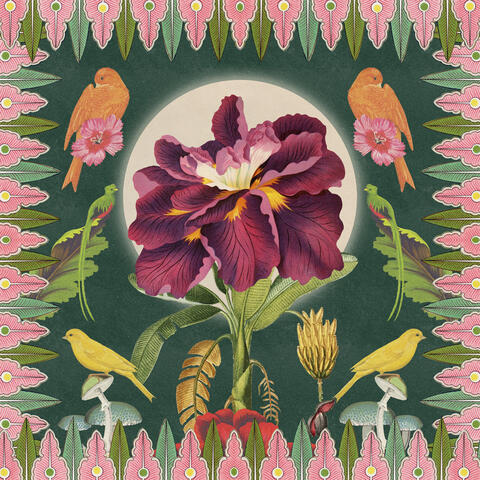 Moon Flower Bloom