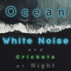 Ocean White Noise and Crickets at Night