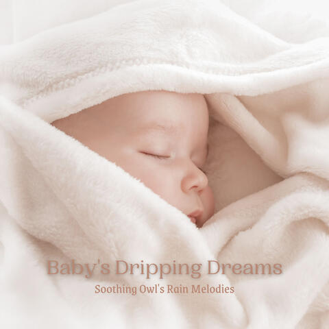 Baby's Dripping Dreams: Soothing Owl's Rain Melodies