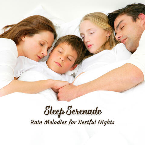 Sleep Serenade: Rain Melodies for Restful Nights