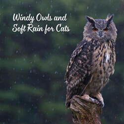 Soft Rain and Wind for Purring Companions