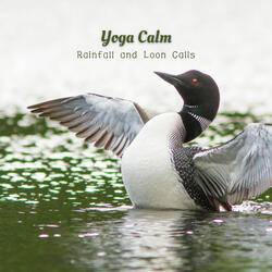 Serene Loon Sounds for Mindful Stretching