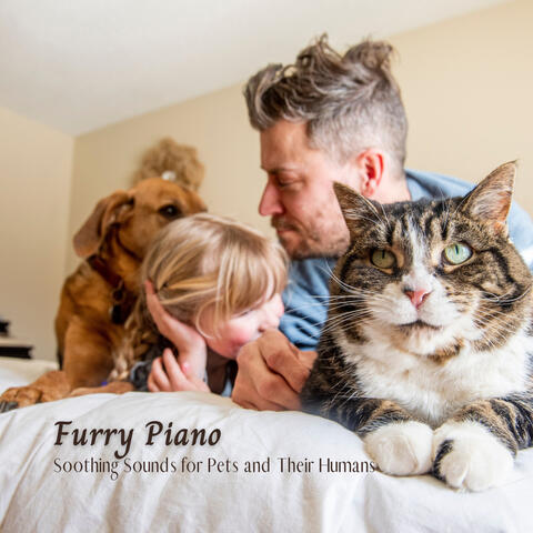 Furry Piano: Soothing Sounds for Pets and Their Humans