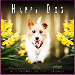 Dog Music