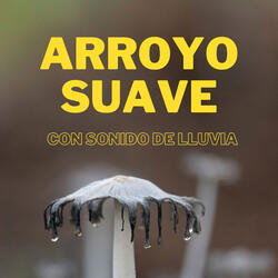 Incesante Sonido De Lluvia