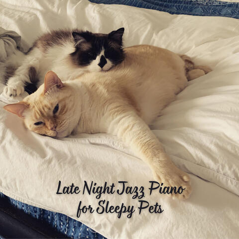 Late Night Jazz Piano for Sleepy Pets