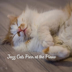 Cat's Crescendo