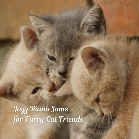 Jazz Piano Jams for Furry Cat Friends