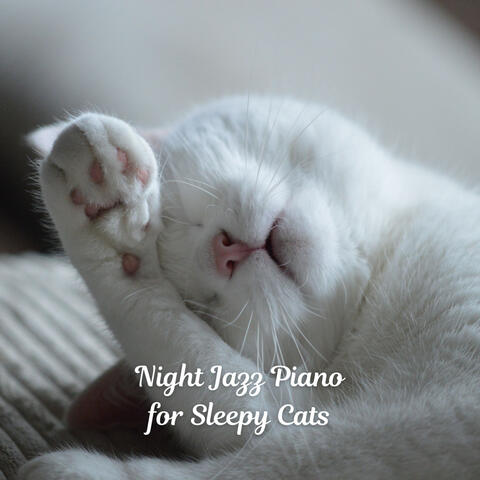 Night Jazz Piano for Sleepy Cats
