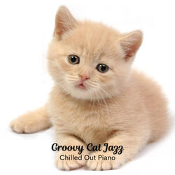 Gentle Piano Grooves