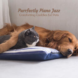 Comforting Pet Piano Jazz