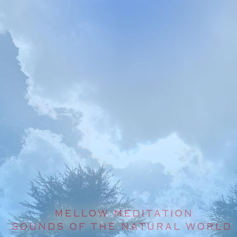 Sounds of the Natural World