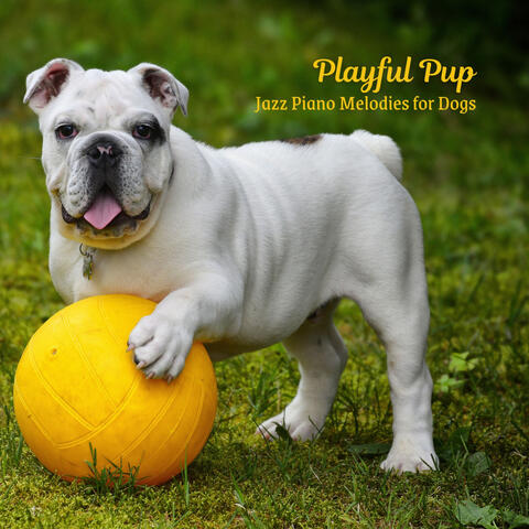 Playful Pup: Jazz Piano Melodies for Dogs