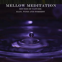 Calming Rain on a Moonlit Night