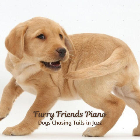 Furry Friends Piano: Dogs Chasing Tails in Jazz