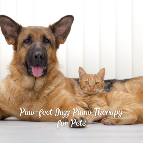 Paw-fect Jazz Piano Therapy for Pets