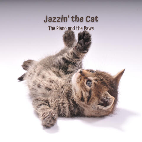 Jazzin' the Cat: The Piano and the Paws
