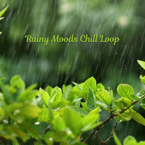 Rainy Moods Chill Loop