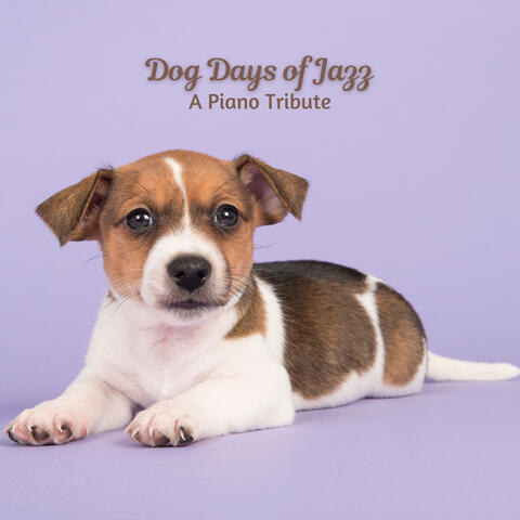 Dog Days of Jazz: A Piano Tribute
