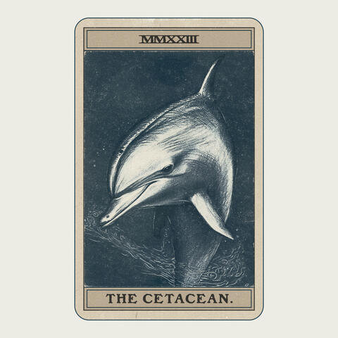 The Cetacean