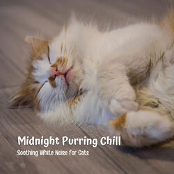 Calming Feline Frequencies
