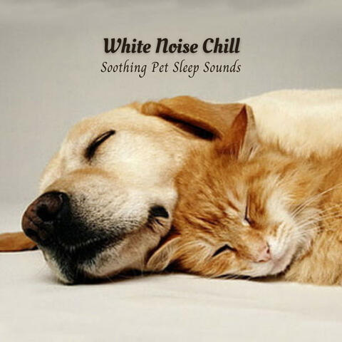 White Noise Chill: Soothing Pet Sleep Sounds