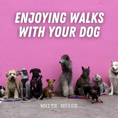 White Noise: Enjoying Walks with Your Dog