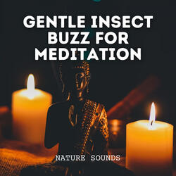 Tranquil Grasshopper Hum