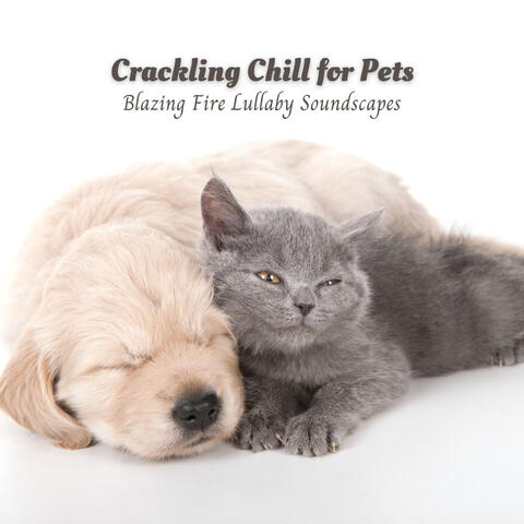 Crackling Chill for Pets: Blazing Fire Lullaby Soundscapes