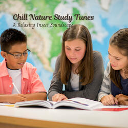 Serene Bug Reflections