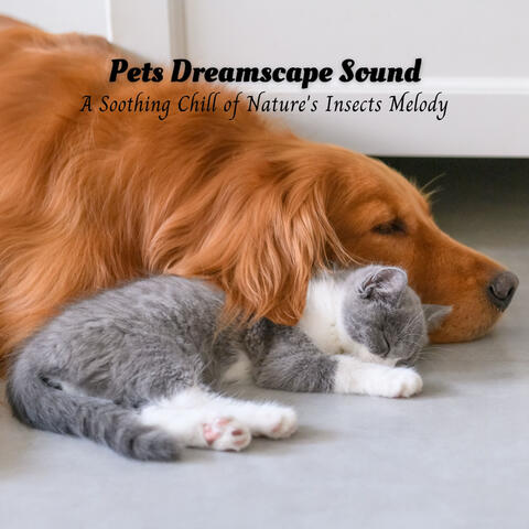 Pets Dreamscape Sound: A Soothing Chill of Nature's Insects Melody