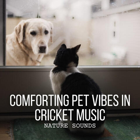 Nature Sounds: Comforting Pet Vibes in Cricket Music