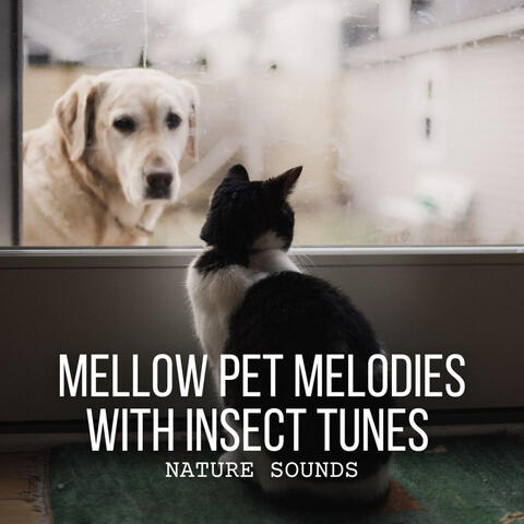 Nature Sounds: Mellow Pet Melodies with Insect Tunes