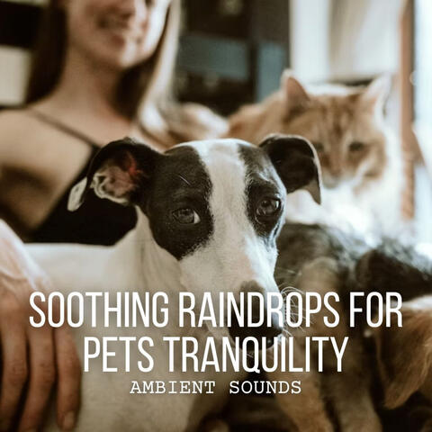 Ambient Sounds: Soothing Raindrops for Pets Tranquility