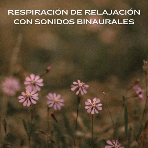 Respiración De Relajación Con Sonidos Binaurales