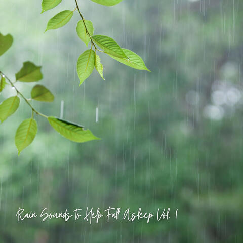 Rain Sounds to Help Fall Asleep Vol. 1
