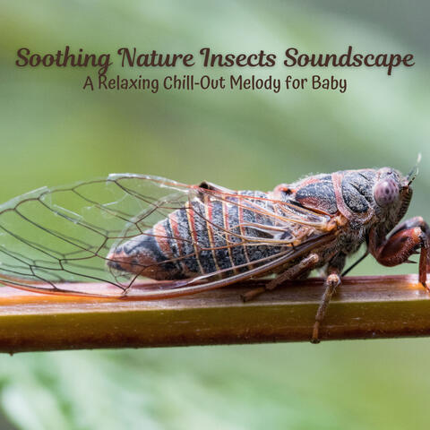Soothing Nature Insects Soundscape: A Relaxing Chill-Out Melody for Baby