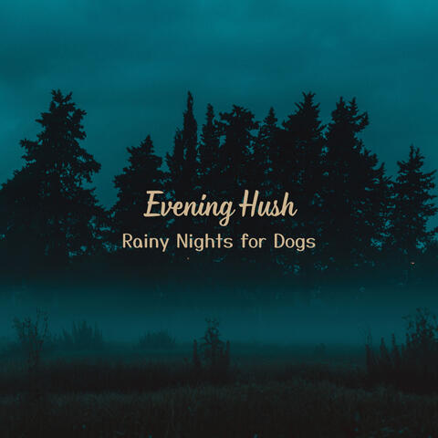 Evening Hush: Rainy Nights for Dogs